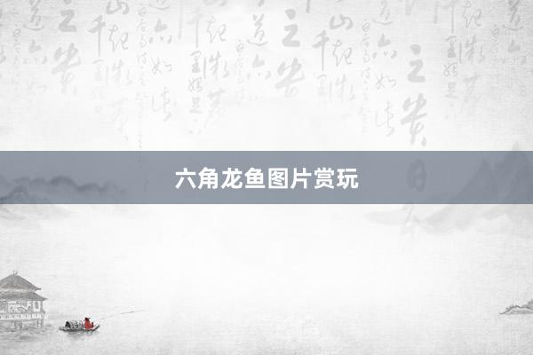 六角龙鱼图片赏玩